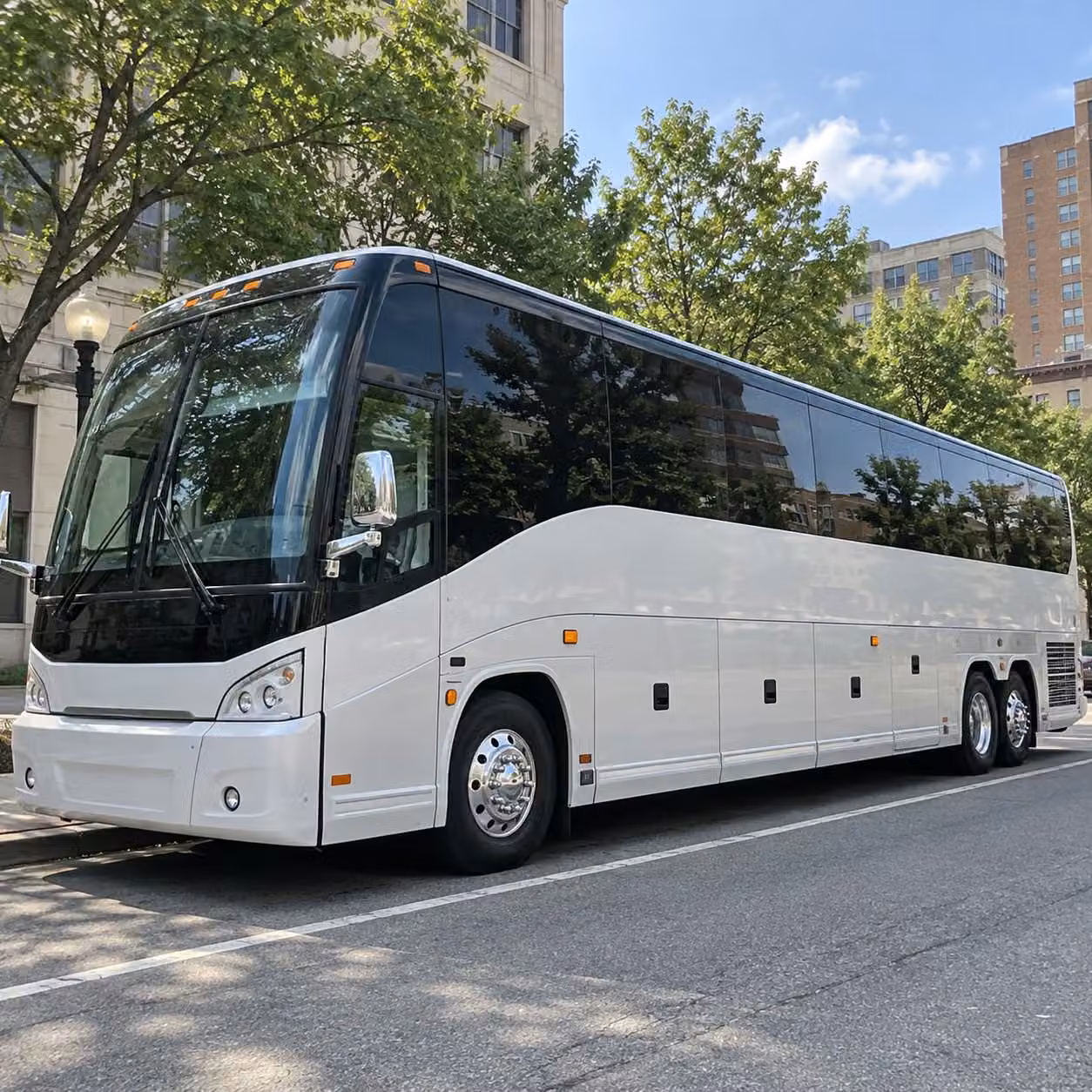 wedding bus rentals in bradenton